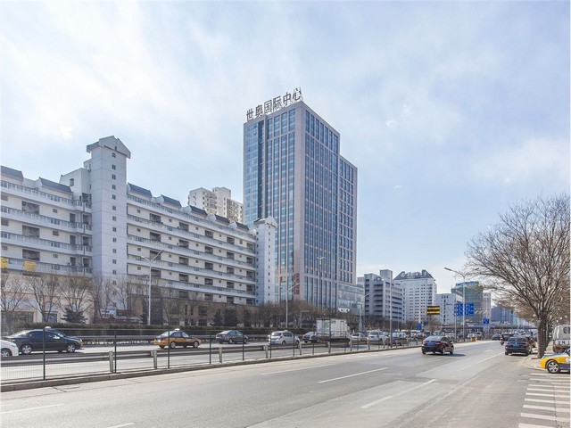 河北天然贺百岁趣湿茶价位